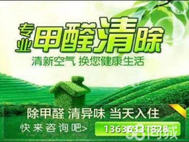 母嬰甲醛治理服務(wù)工裝家裝除甲醛工廠,空氣凈化提供甲醛檢測(cè)、汽車除醛、甲醛治理/除甲醛服務(wù)